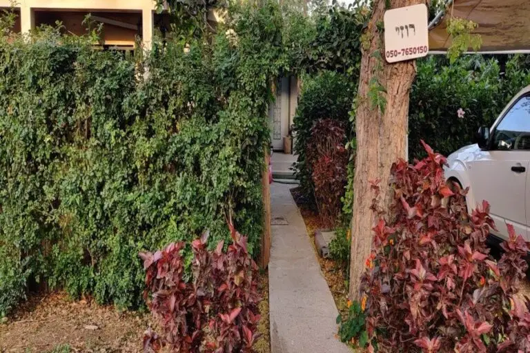 צימר ביו · תמונה 4