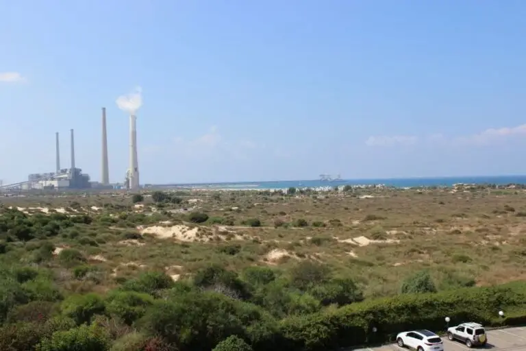 פנינת החוף