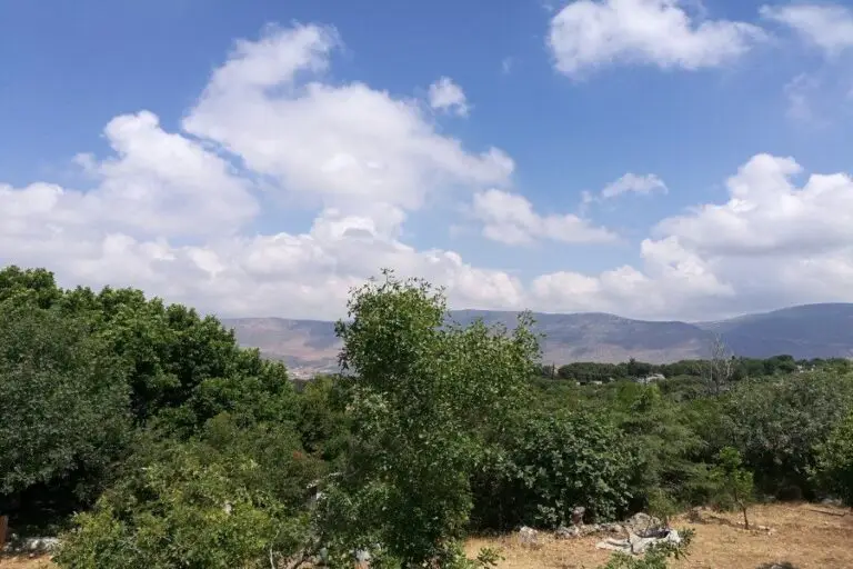 אור בגליל · תמונה 5
