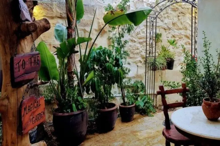 הגן הקסום הצימר בבאר שבע · תמונה 3