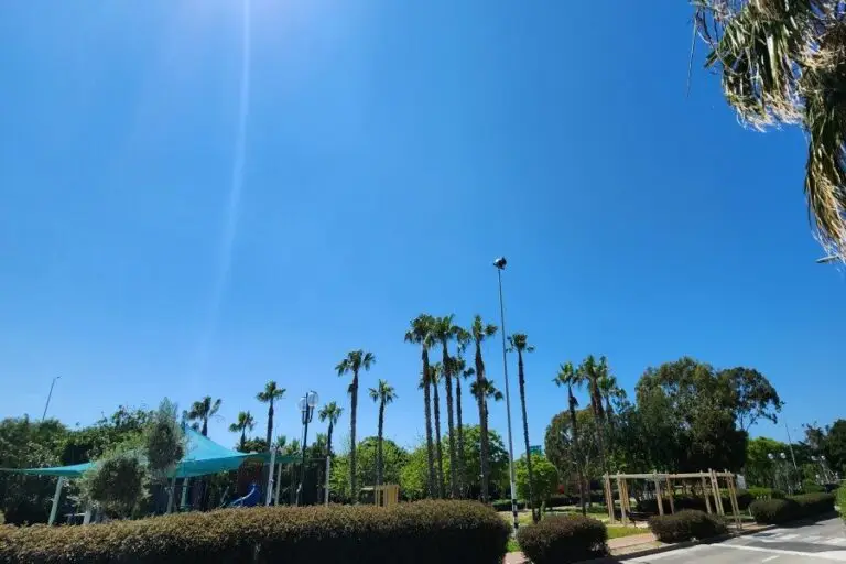 סוויטה מול קיסר · תמונה 2