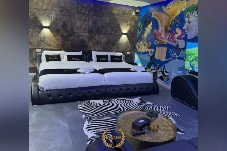 גריי · תמונה 4