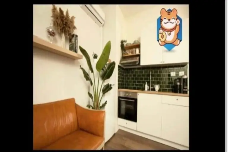 אפרידר אשקלון · תמונה 2